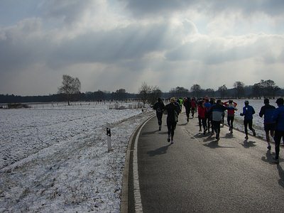 Von Minfeld gehts über die Felder in den Bienwald