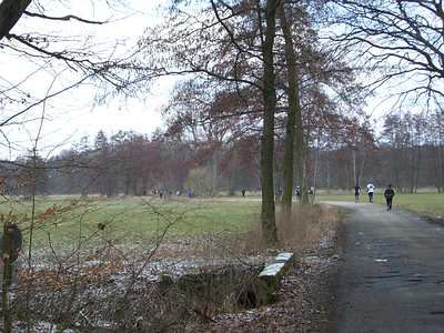 Raus aus dem Bienwald Richtung Kandel