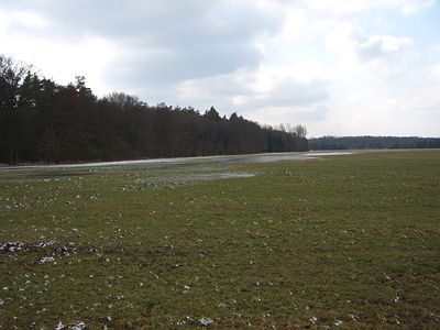 Die Felder sind inzwischen schneefrei
