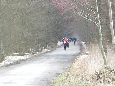 Nur der Wald sieht noch ziemlich winterlich aus