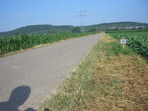 Fidelitas Nachtlauf 2006 - KM 15