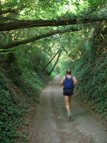 Fidelitas Nachtlauf 2006 - Hohlweg hinter Grtzingen