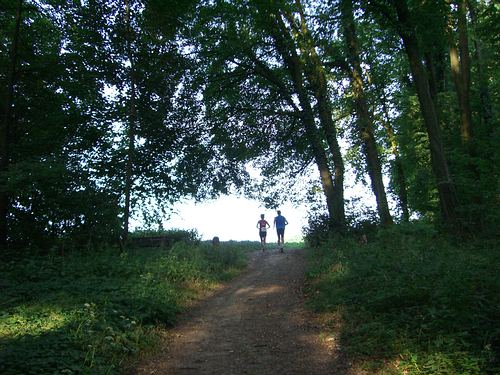 Fidelitas Nachtlauf 2006 - zwischen Grtzingen und Jhlingen