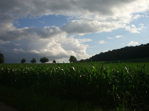 Erfrischender Nieselregen