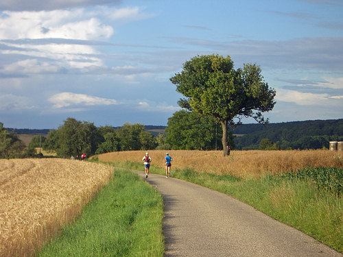 Bilderbuchwetter für Läufer