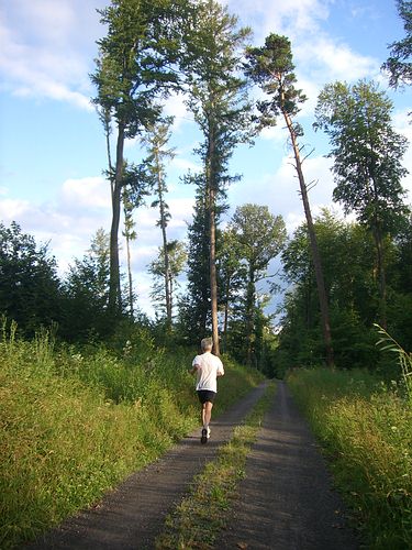 Dieter will heute mindestens 60 km ohne Gehpausen laufen