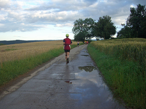 berall Pftzen, die auf krzlichen Regen hinweisen.