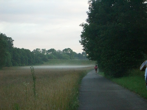 Bodennebel zwischen Mutschelbach und Langensteinbach