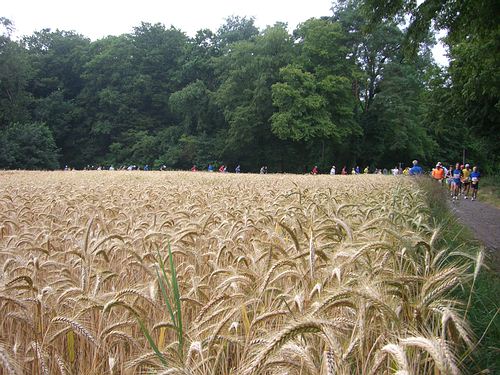 Hier sind noch alle zusammen