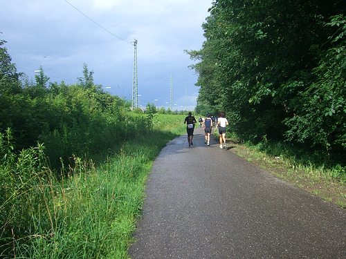 Entlang der Südtangente Richtung Durlach