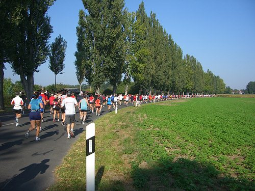 Auf dem Scheibenhardter Weg