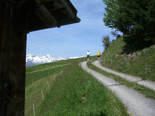 Liechtenstein-Marathon 2006 - immer hher und hher