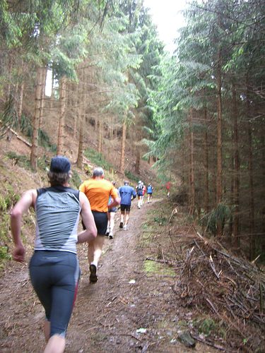 4. Panoramalauf Zweitälerland: Durch den Wald nach oben