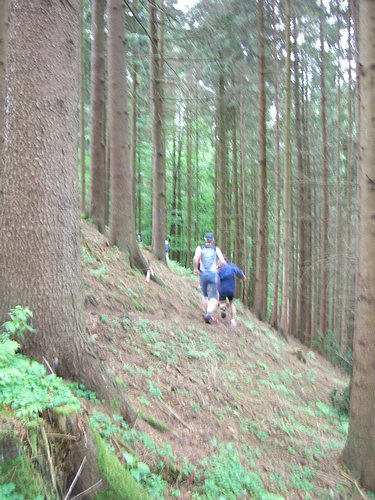 4. Panoramalauf Zweitälerland: Querwaldein