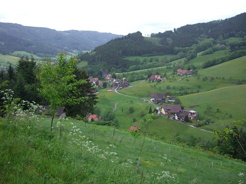 4. Panoramalauf Zweitlerland: Schne Aussicht