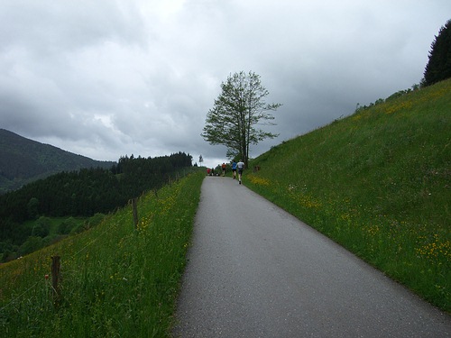 4. Panoramalauf Zweitlerland: Zum Glck ist es heute nicht so hei