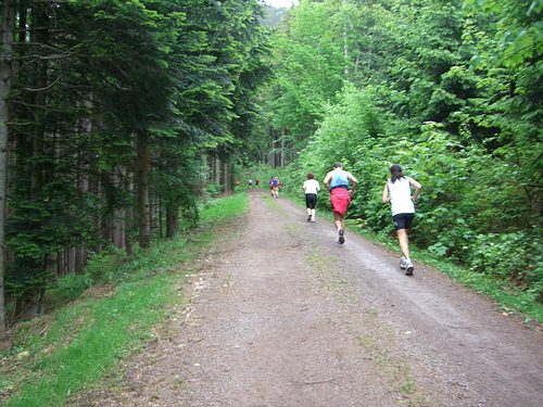 4. Panoramalauf Zweitälerland: Waldweg