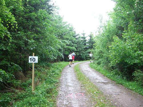 4. Panoramalauf Zweitälerland: KM 10