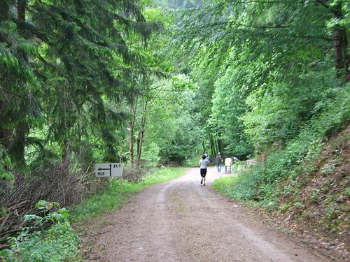 4. Panoramalauf Zweitälerland: Weiche Halbmarathon / Jedermannslauf