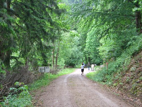 4. Panoramalauf Zweitlerland: Weiche Halbmarathon / Jedermannslauf