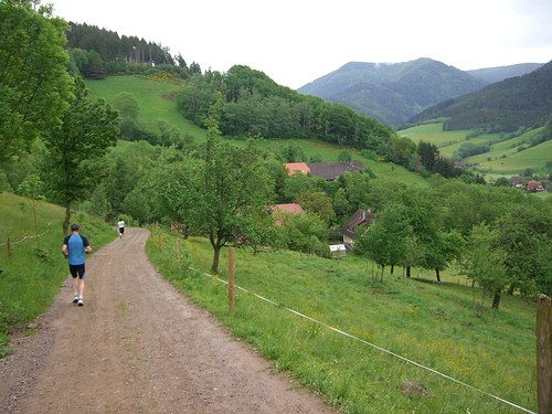 4. Panoramalauf Zweitälerland: KM 16