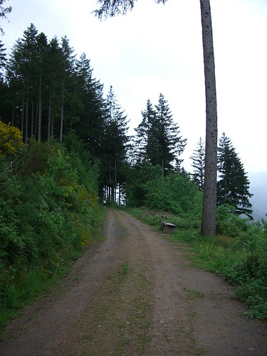 4. Panoramalauf Zweitälerland: Mein Hase verschwindet