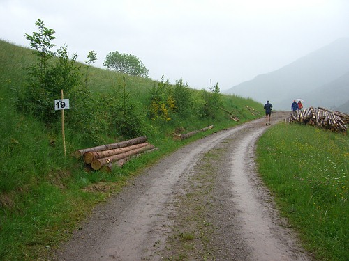 4. Panoramalauf Zweitlerland: KM 19
