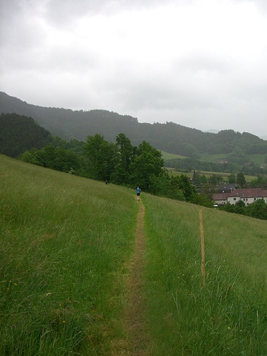 4. Panoramalauf Zweitlerland: Der Single Trail zum Ziel