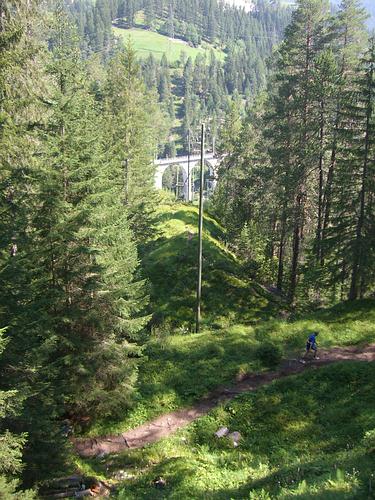 In den Wald und rauf auf den Berg