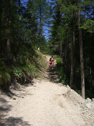 Unwegsames Gelnde