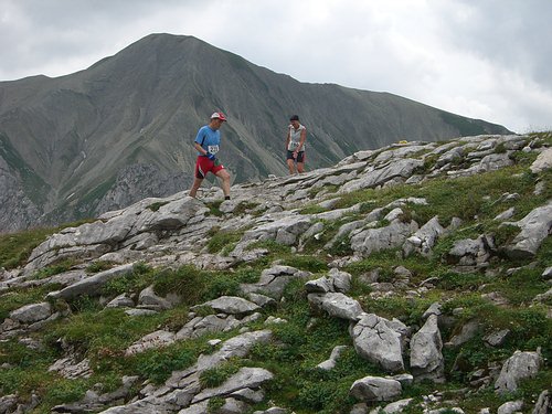 6. Zugspitz-Extremberglauf: Steine, Flechten, Moos