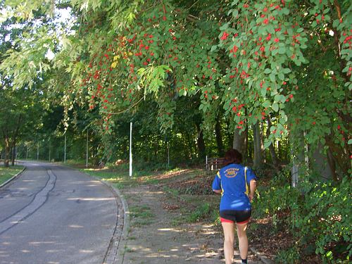 Der Wald beginnt nach nur 100 Metern