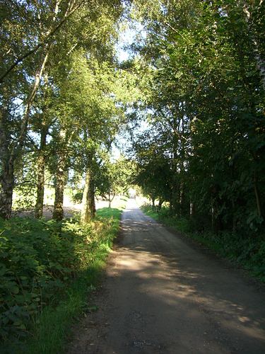 Kurz vor dem Batzenhof