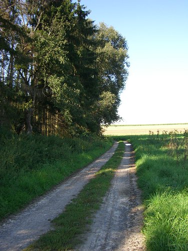 Über die Felder bei Hohenwettersbach