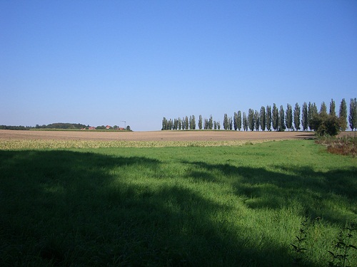 Blick auf die Pappelallee und den Thomashof