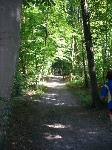 Entlang der Elsa-Brändström-Straße