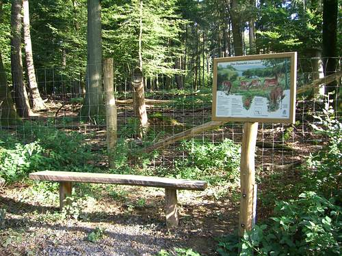 Wildgehege im Bergwald