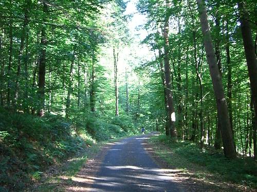 Bergab nach Hohenwettersbach