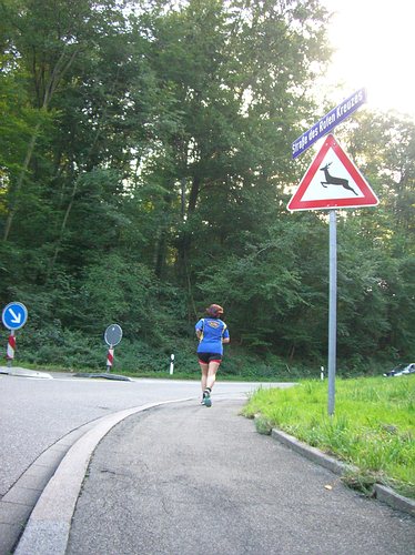 Der steilste Abschnitt dieser Laufrunde