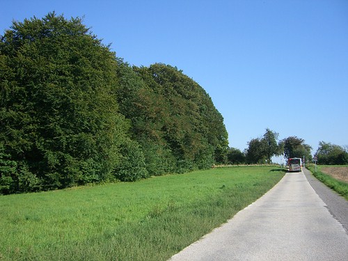 Ringbuslinie Richtung Hohenwettersbach