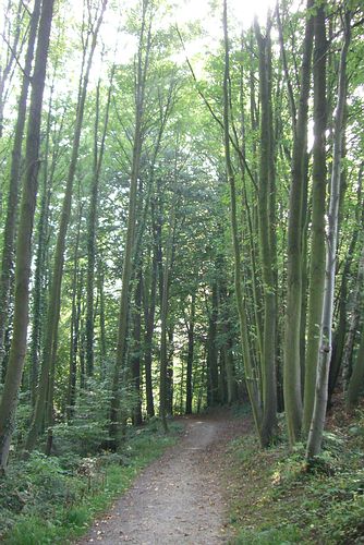 Parallel zur Strae des Roten Kreuzes