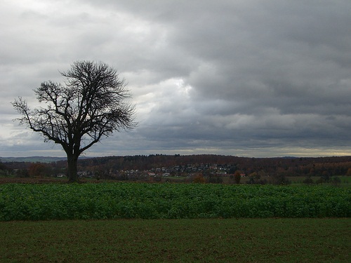 Blick nach Stupferich