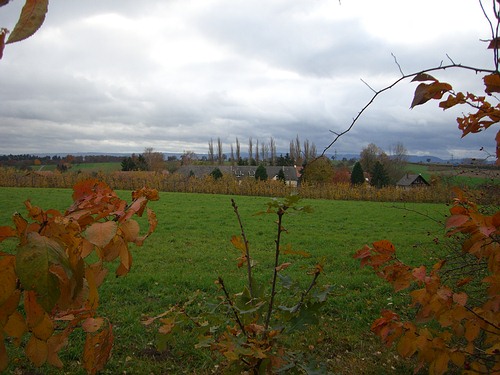 Blick zurück zum Batzenhof