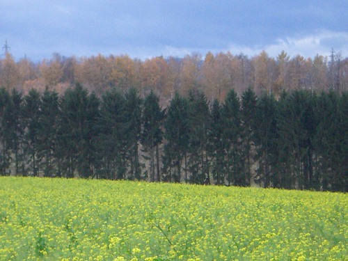 Quattro Colori