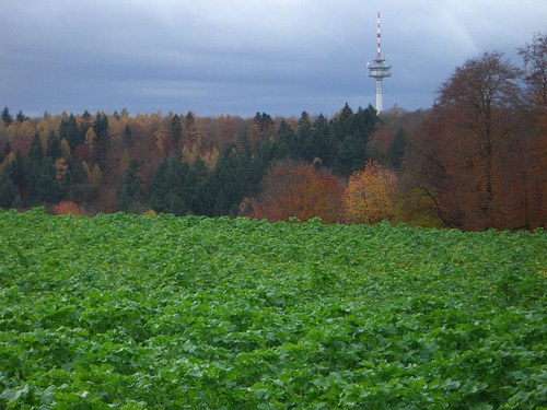Funkturm Grnwettersbach von der Bergwald-Siedlung aus gesehen