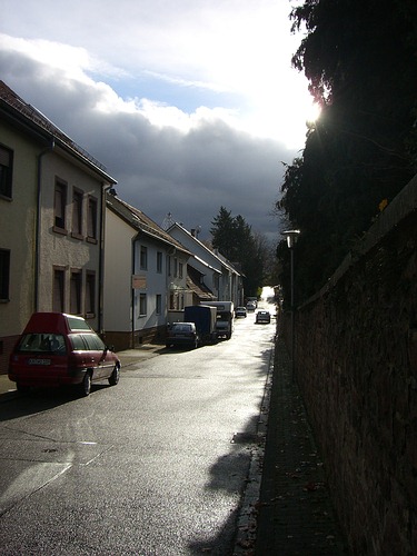 Gegenlicht auf der Lindenstraße