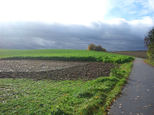 Von Hohenwettersbach Richtung A8