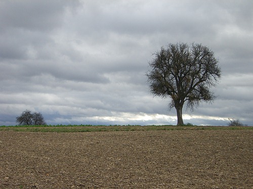 Herbst-Impressionen