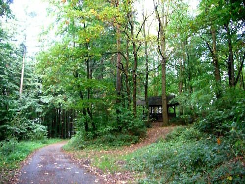 Waldhtte auf dem Weg von der Bergwald-Siedlung nach Wolfartsweier