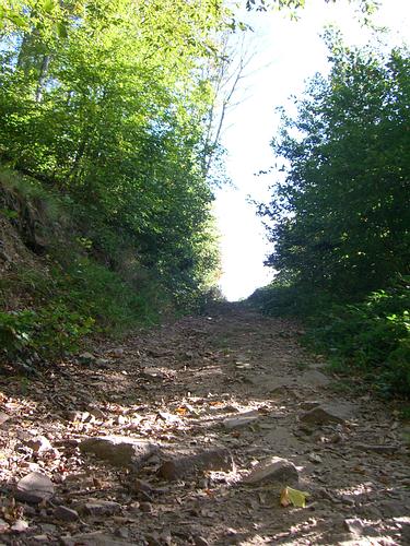 Felsiger Untergrund auf dem Weg zum Wattkopf